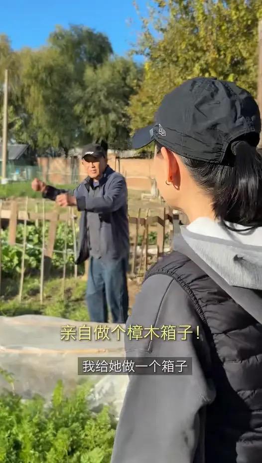 婆包地种菜穿旧衣像村里人给孙女备嫁妆开元棋牌app梅婷晒北京2层别墅公(图5)