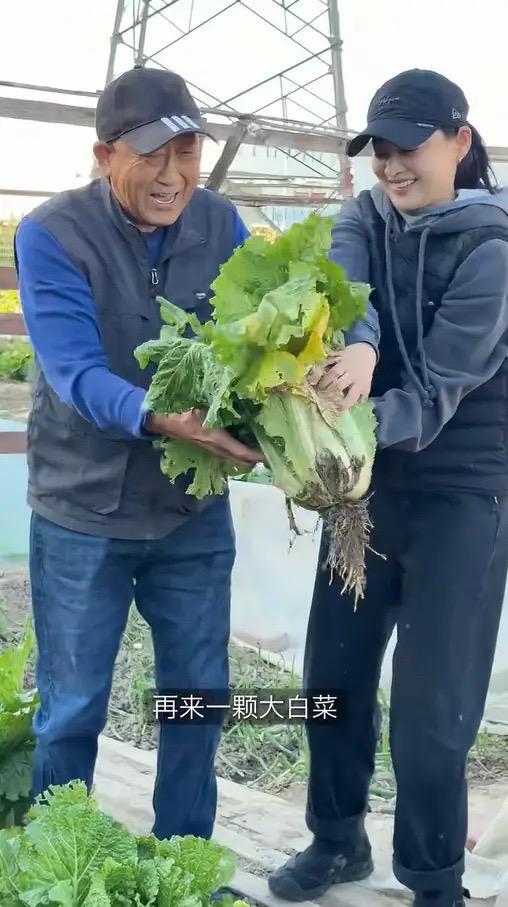 婆包地种菜穿旧衣像村里人给孙女备嫁妆开元棋牌app梅婷晒北京2层别墅公(图6)