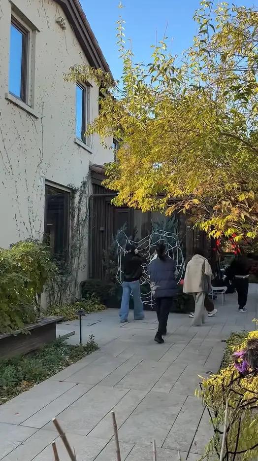 婆包地种菜穿旧衣像村里人给孙女备嫁妆开元棋牌app梅婷晒北京2层别墅公(图13)