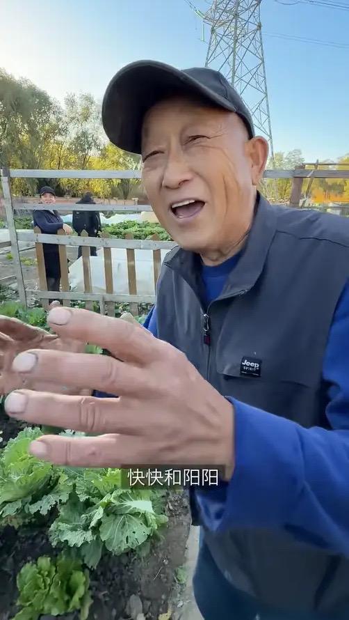 婆包地种菜穿旧衣像村里人给孙女备嫁妆开元棋牌app梅婷晒北京2层别墅公(图9)