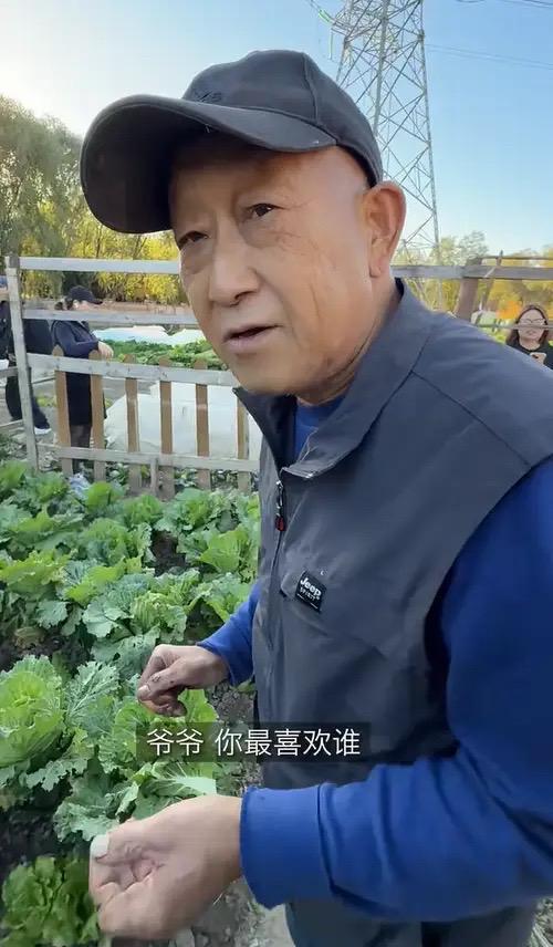 婆包地种菜穿旧衣像村里人给孙女备嫁妆开元棋牌app梅婷晒北京2层别墅公(图14)