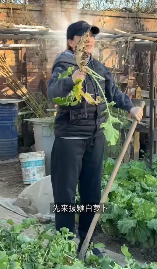 婆包地种菜穿旧衣像村里人给孙女备嫁妆开元棋牌app梅婷晒北京2层别墅公(图18)